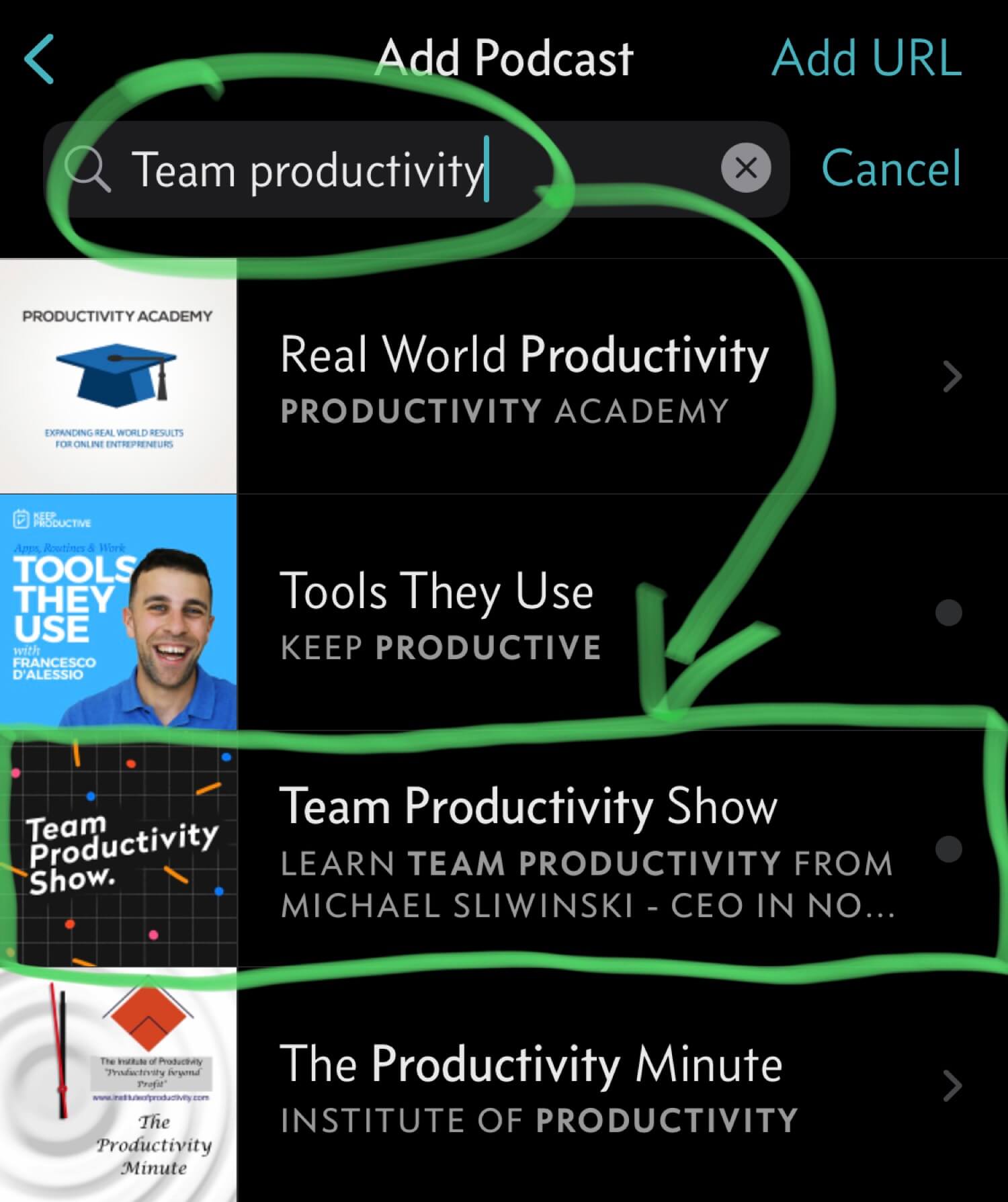 Subscribe to my Team Productivity Show as an audio podcast!
